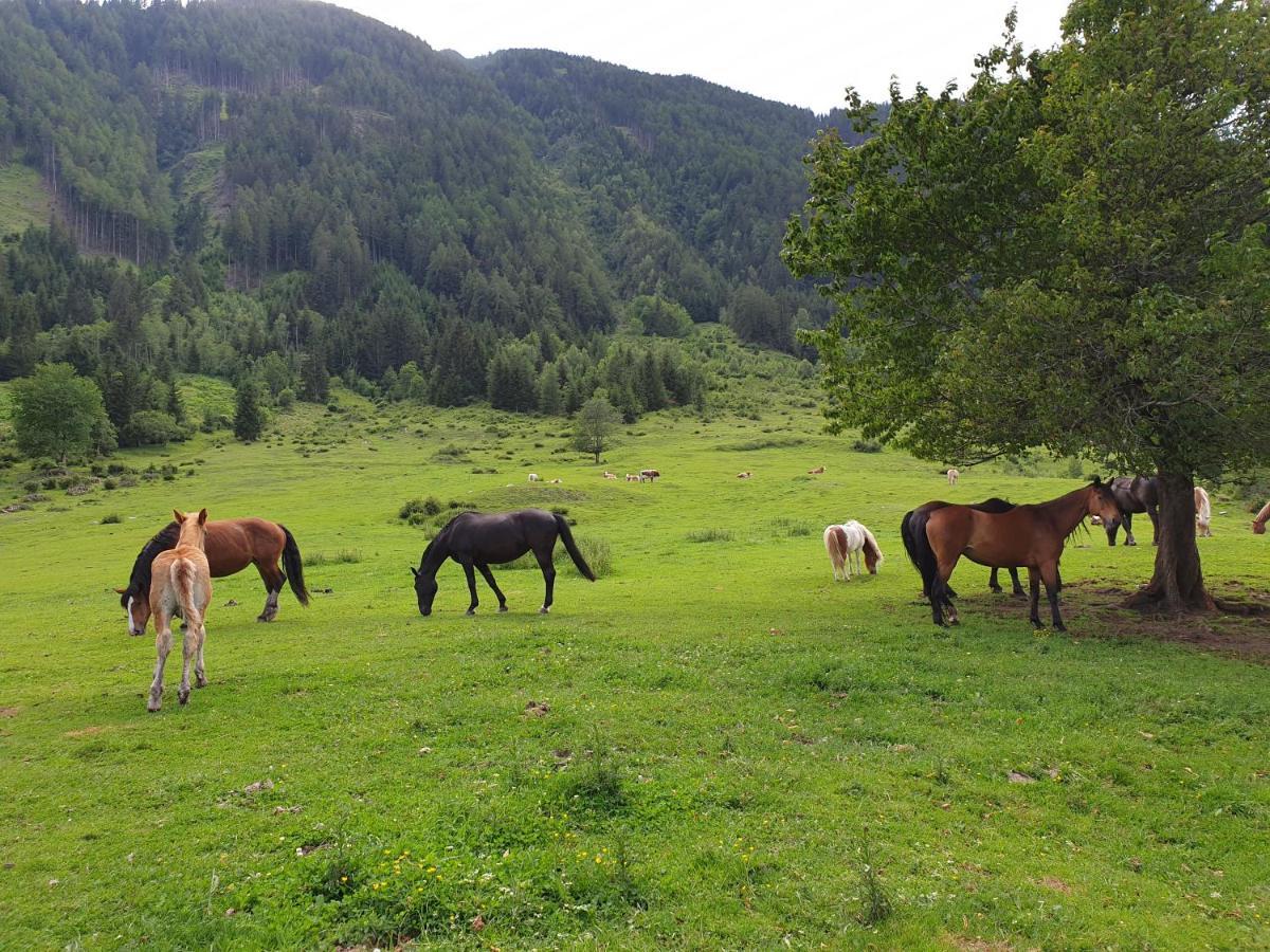 Pongitzerhof Villa Matrei in Osttirol Eksteriør billede